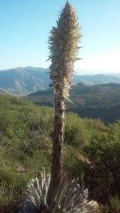 20150413_073955