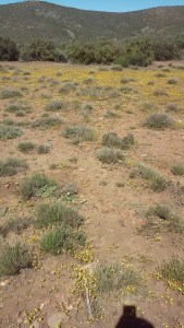 20150413_095846