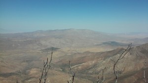 wpid-wp-1428885185580.jpeg