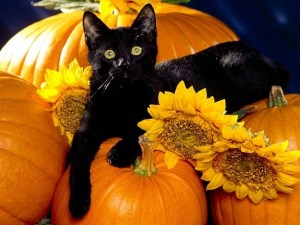 halloween01