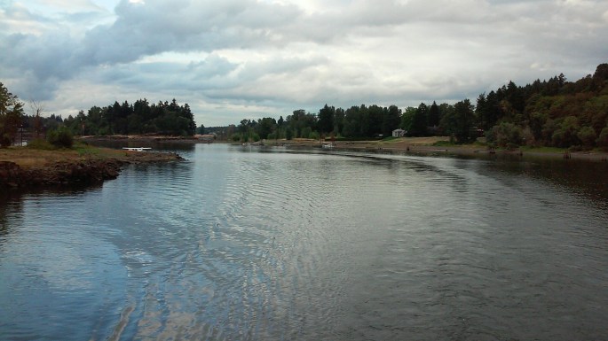 wp-1437967876880 image