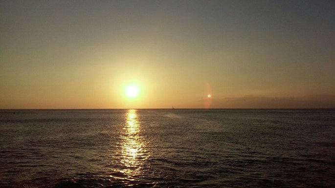 wp-1454479476568 image