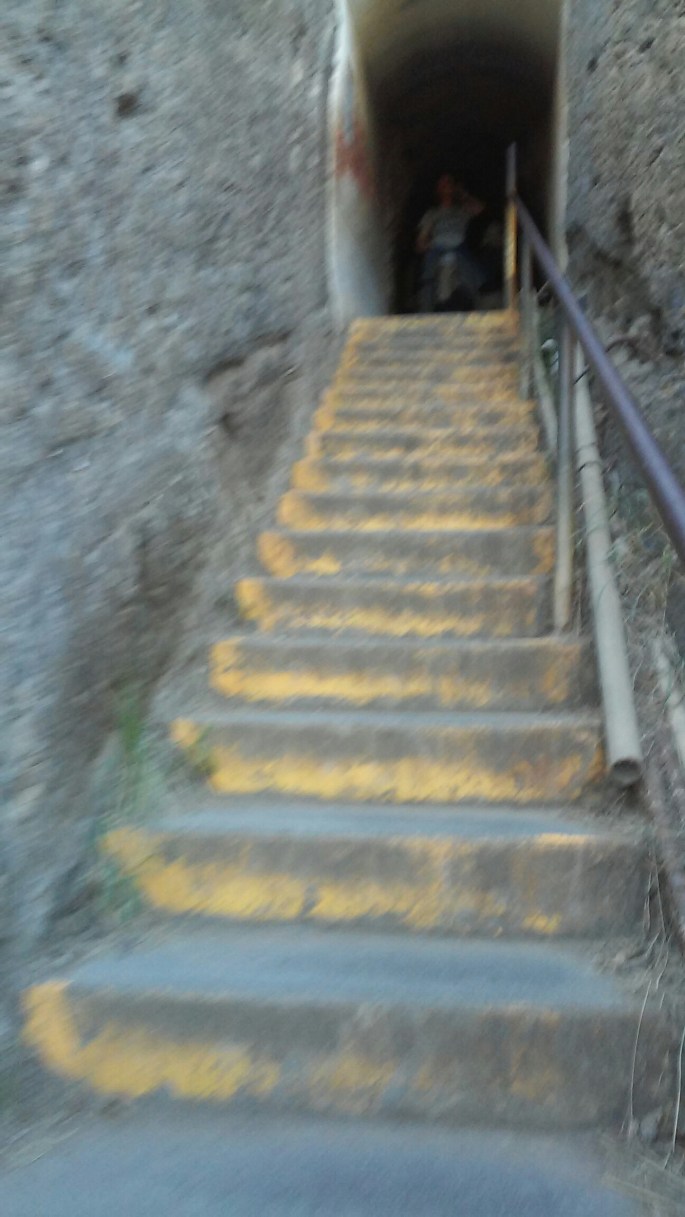 wp-1454717693042 image